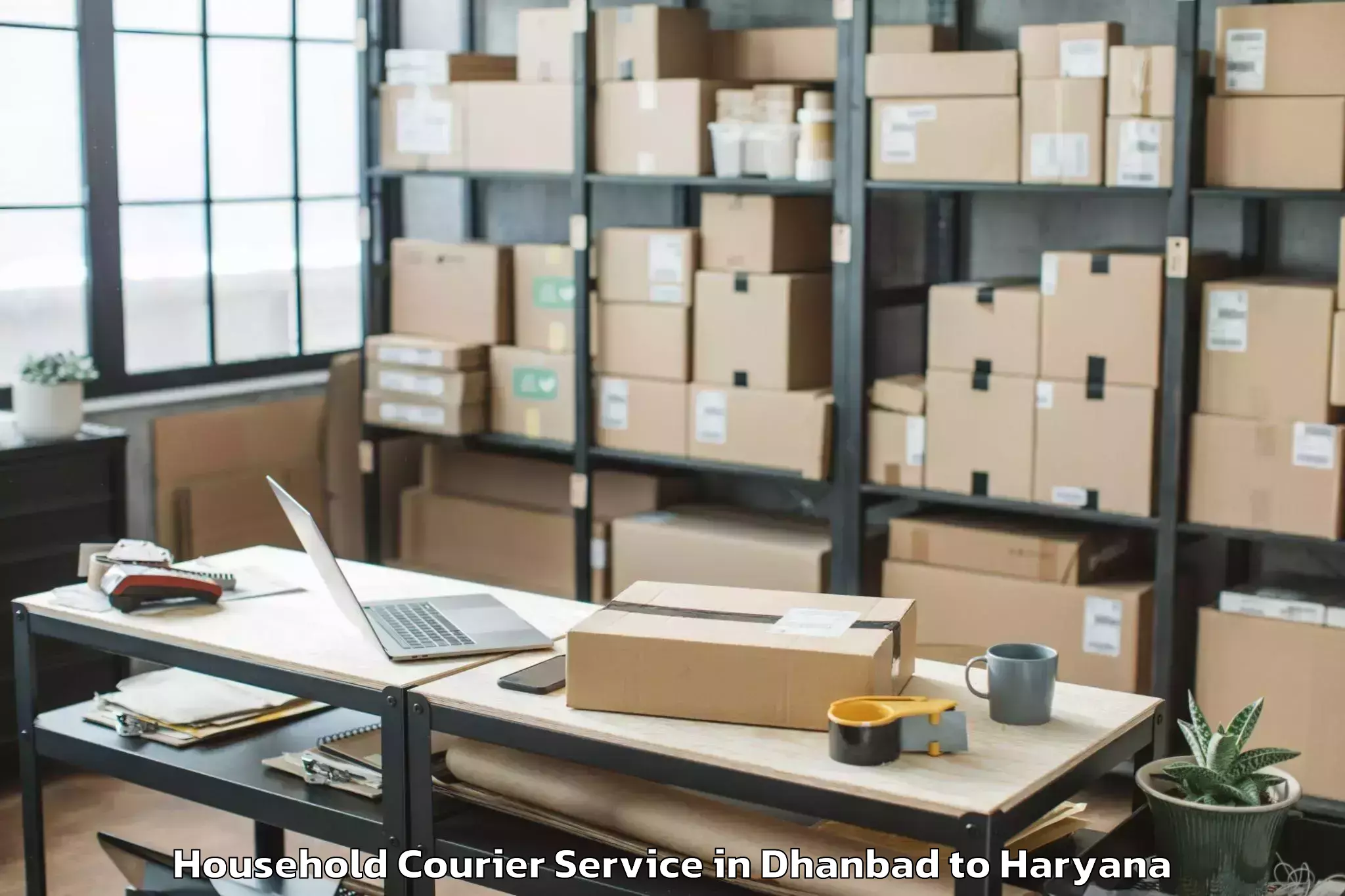 Professional Dhanbad to Hansi Household Courier